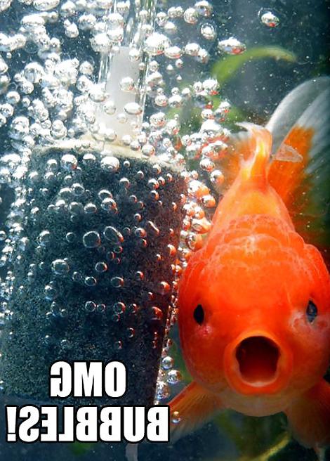 12P More pics that make me laugh