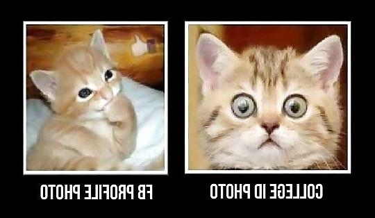 12P More pics that make me laugh