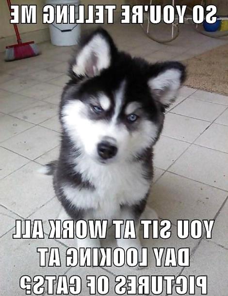 12P More pics that make me laugh