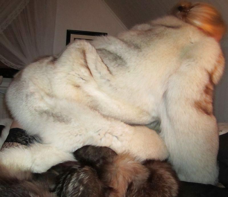 25P My fur Mistres 