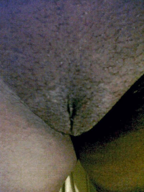 7P Nuevas de mi puta del pin lady