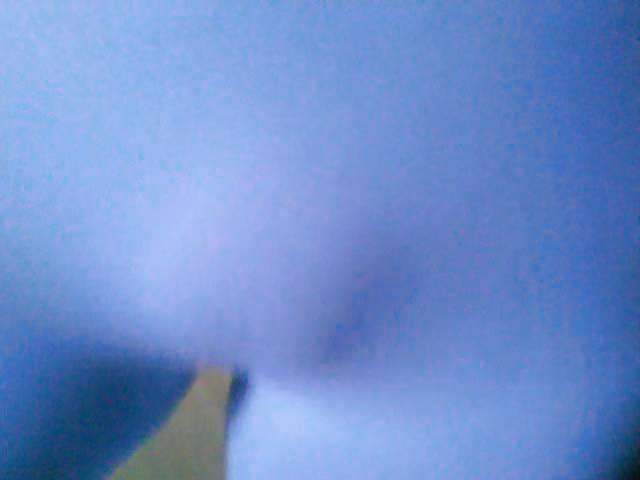 25P Camel toe 