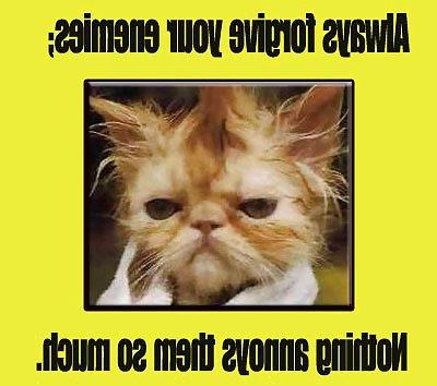 11P Funny quotes 3