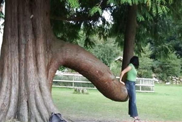 25P Sex humor