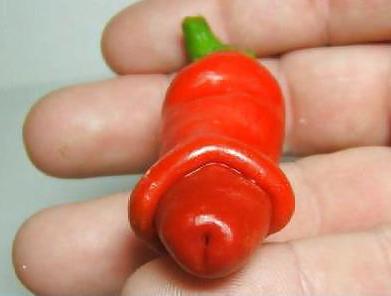 25P Sex humor