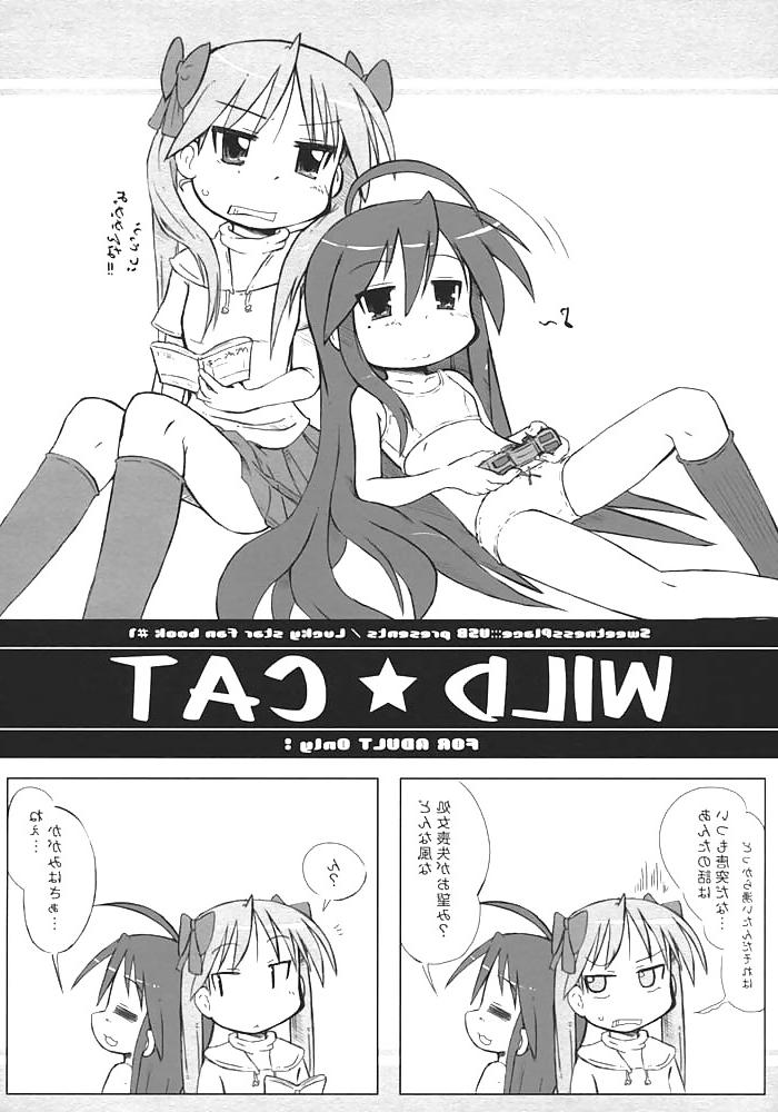 8P Lucky Star - Wild Cat (JPN)