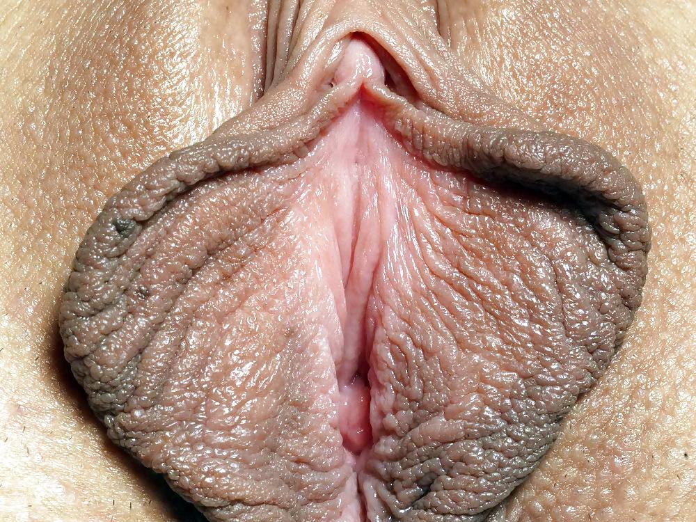 20P I love pussy licking