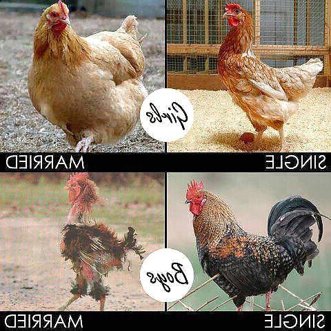 12P Funny Things