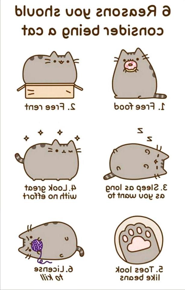 12P Funny Things