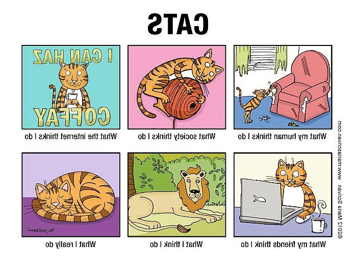 12P Funny Things