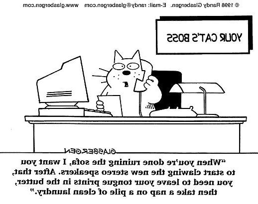 12P Funny Things
