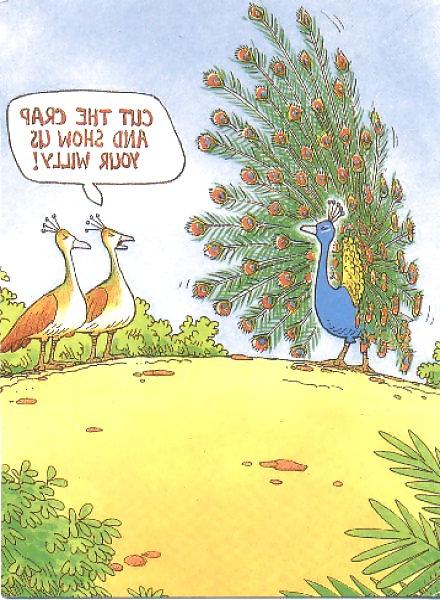 13P Funny HEY