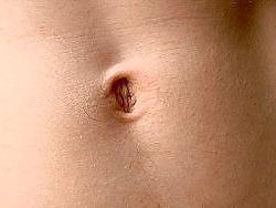 13P Cute Belly's