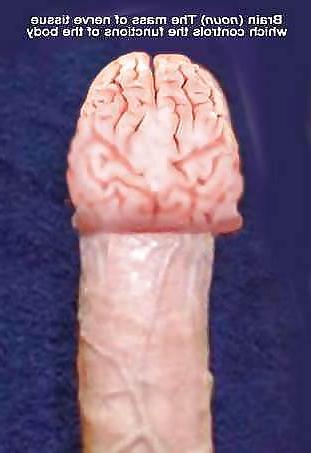 25P Things that make me laugh II