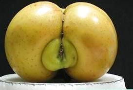 12P Funny