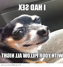 12P Funny