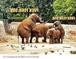 12P Funny