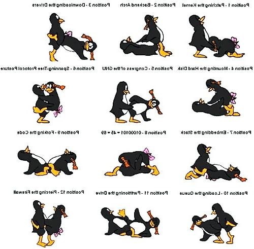 17P Sex position 2