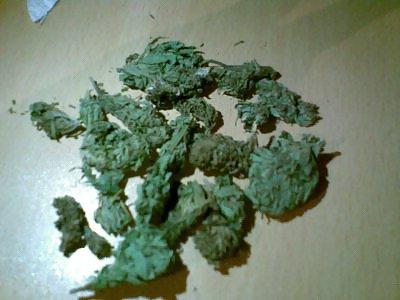 25P SLOVENIAN BRUNETTE ANNA SHADY FROM MARIBOR 