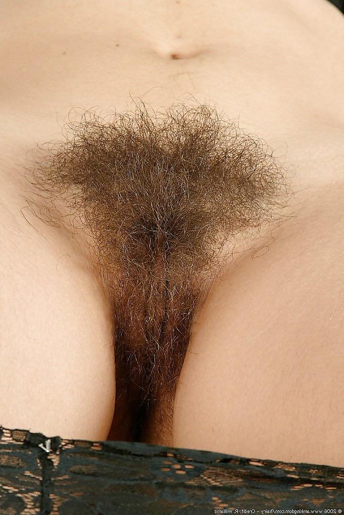 25P Hairy girls is fantastic