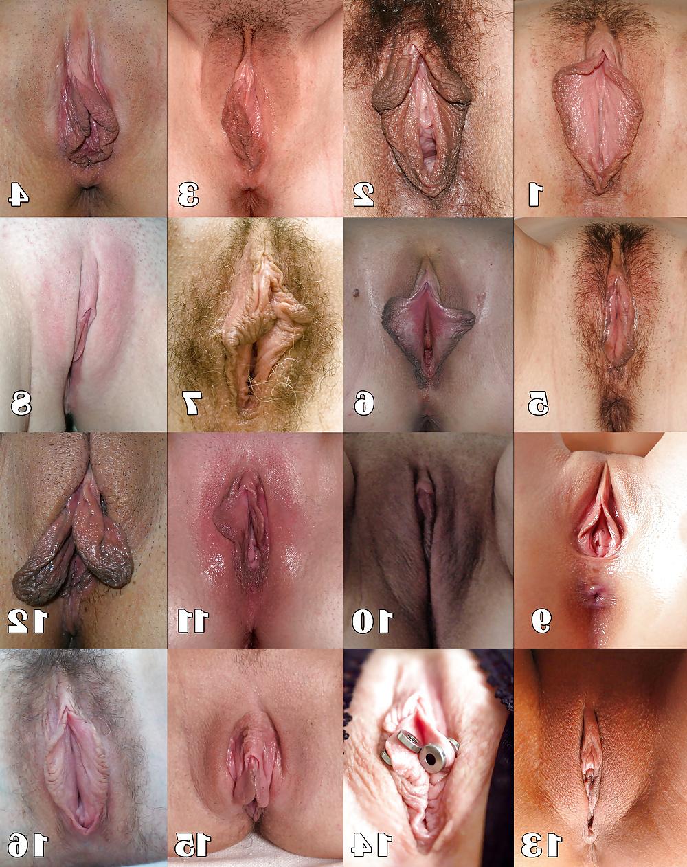 7P Choose your favorite pussy! (comment)