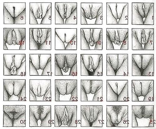 7P Choose your favorite pussy! (comment)