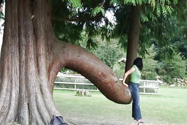 25P Lustige Sex Bilder :-)