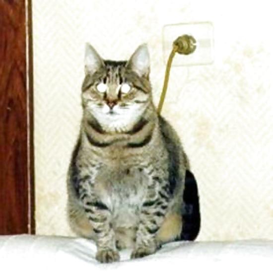 24P Submit Your Own Caption 5