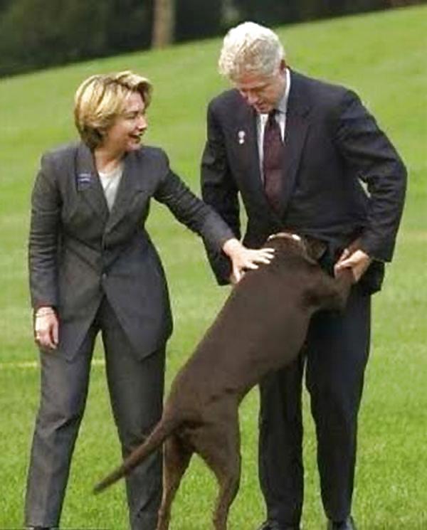 24P Submit Your Own Caption 5