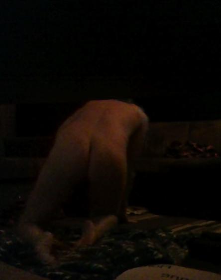 25P Some random sneaky pics of my unaware wife
