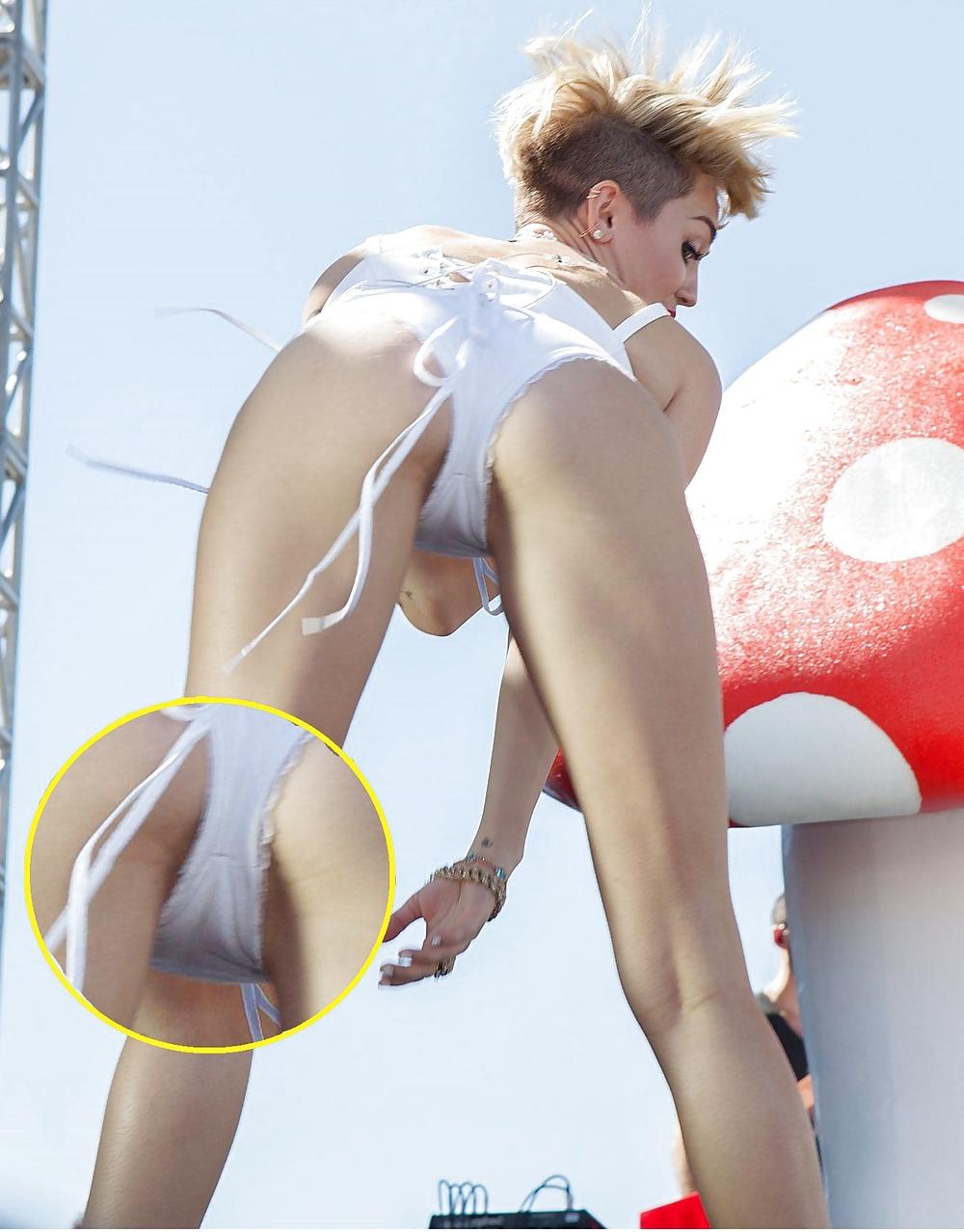 20P Camel Toes