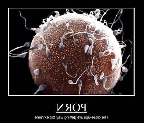6P Funny
