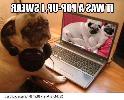 6P Funny