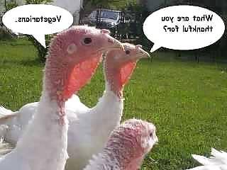 15P Weekend funnies