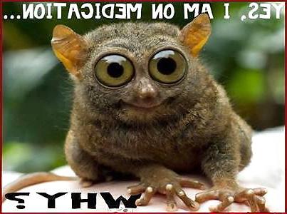 15P Weekend funnies