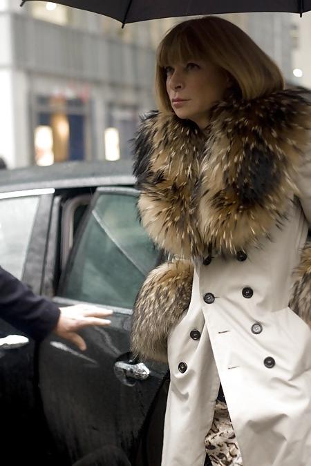 25P Fur coats