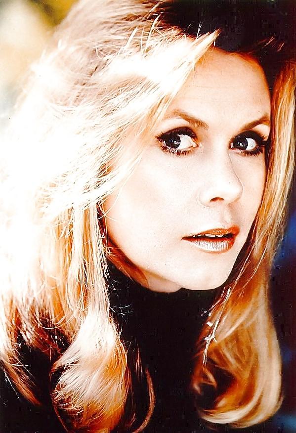 25P Let's Jerk Off Over ... Elizabeth Montgomery