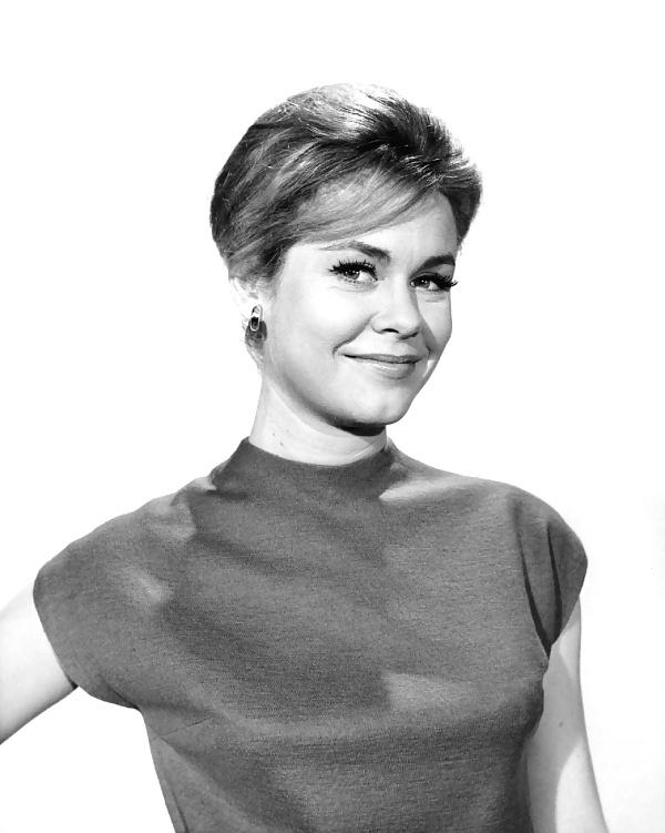 25P Let's Jerk Off Over ... Elizabeth Montgomery