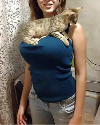7P Funny 2