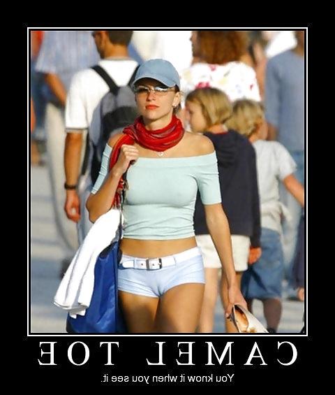 25P From the Moshe Files: Camel Toe Humour