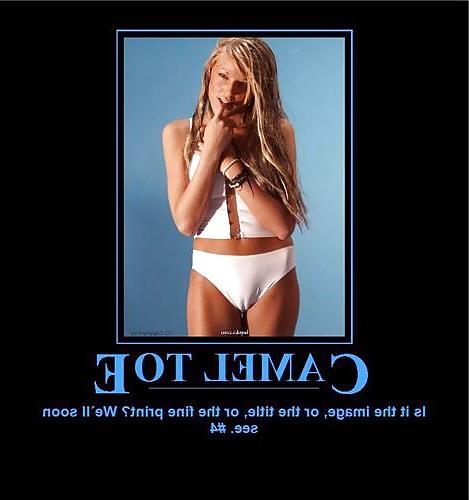 25P From the Moshe Files: Camel Toe Humour