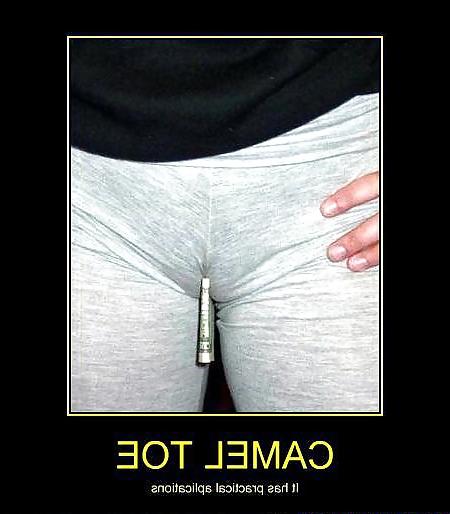 25P From the Moshe Files: Camel Toe Humour