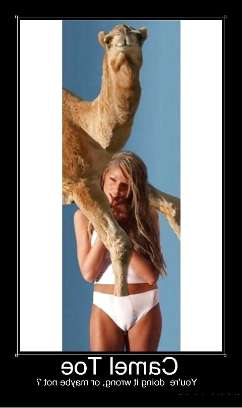 25P From the Moshe Files: Camel Toe Humour