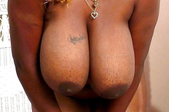 25P Silly game: Guess who's tits ?!