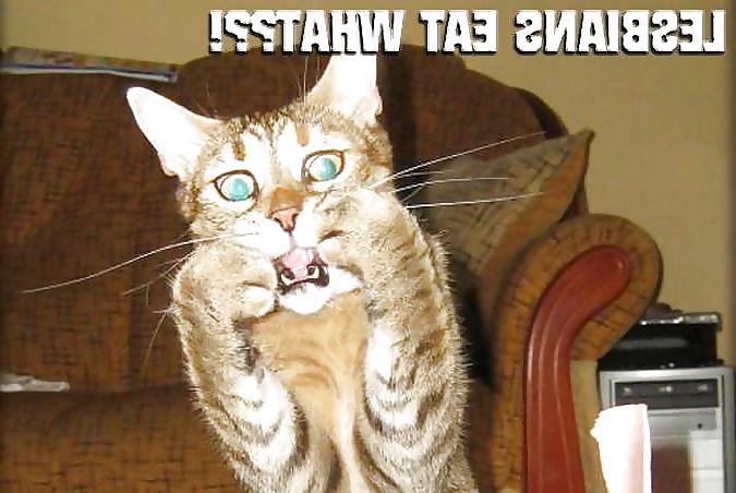 20P Mal was zum lachen-ich finds lustig