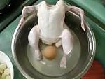 25P Lustige Bilder