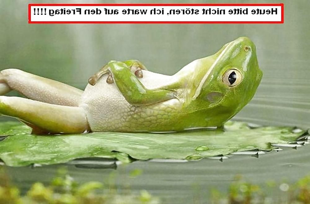 25P Lustige Bilder