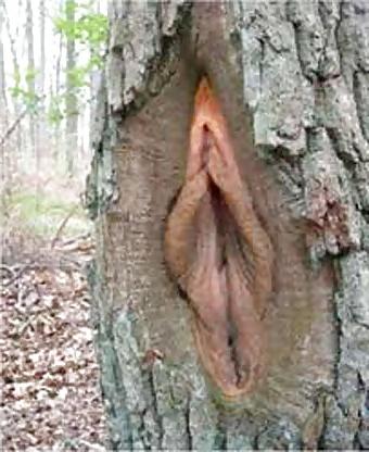 10P Vaginas around the world