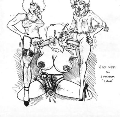 12P Sissy Toons 2