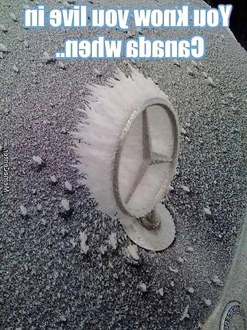 7P Funny